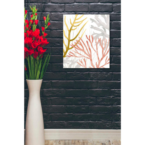 Image of 'Desert Coral II' by Grace Popp Canvas Wall Art,16 x 18