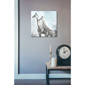 'Two Giraffes' by Linda Woods, Canvas Wall Art,18 x 18