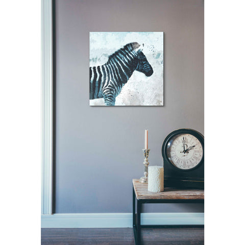 Image of 'Zebra' by Linda Woods, Canvas Wall Art,18 x 18