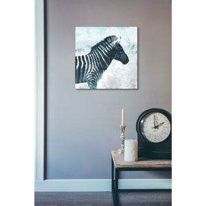 'Zebra' by Linda Woods, Canvas Wall Art,18 x 18