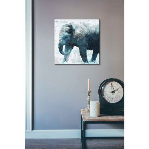 Image of 'Elephant' by Linda Woods, Canvas Wall Art,18 x 18