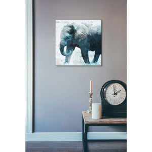 'Elephant' by Linda Woods, Canvas Wall Art,18 x 18