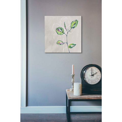 Image of 'Eucalyptus on Sand' by Linda Woods, Canvas Wall Art,18 x 18