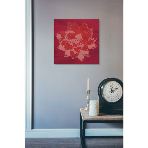 Image of 'Boho Succulent Red' by Linda Woods, Canvas Wall Art,18 x 18