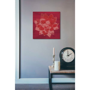 'Boho Succulent Red' by Linda Woods, Canvas Wall Art,18 x 18