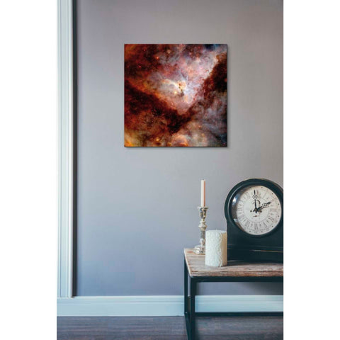 Image of 'Dark Nebulae' Hubble Space Telescope Canvas Wall Art,18 x 18