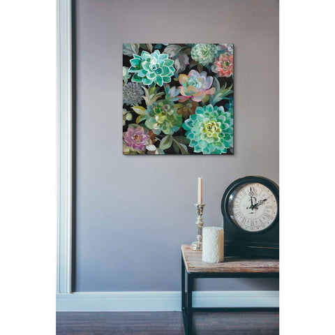 Image of 'Floral Succulents v2 Crop' by Danhui Nai, Canvas Wall Art,18 x 18