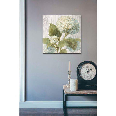 Image of 'Scented Cottage Florals IV Crop' by Danhui Nai, Canvas Wall Art,18 x 18