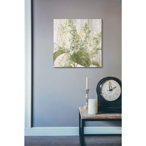 Image of 'Scented Cottage Florals II Crop' by Danhui Nai, Canvas Wall Art,18 x 18