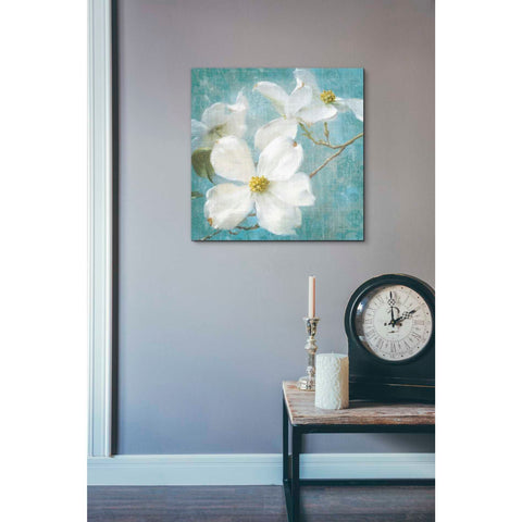 Image of 'Indiness Blossom Square Vintage I' by Danhui Nai, Canvas Wall Art,18 x 18