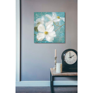 'Indiness Blossom Square Vintage I' by Danhui Nai, Canvas Wall Art,18 x 18