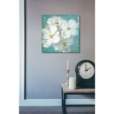 Image of 'Indiness Blossom Square Vintage II' by Danhui Nai, Canvas Wall Art,18 x 18