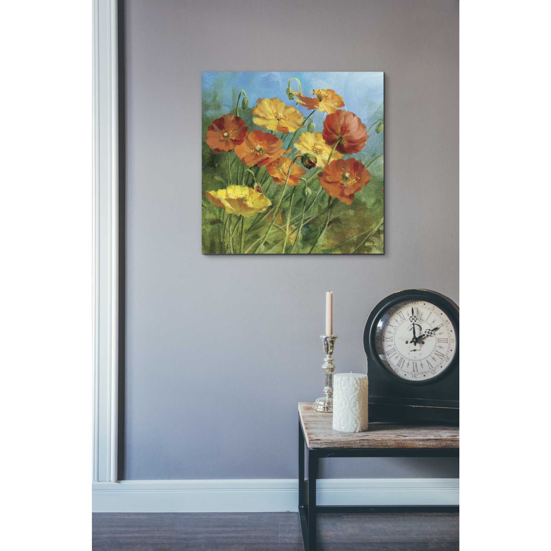 'Summer Field IV' by Danhui Nai, Canvas Wall Art,18 x 18