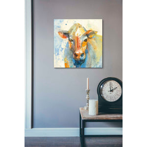 'Happy Cows II' by Albena Hristova, Canvas Wall Art,18 x 18