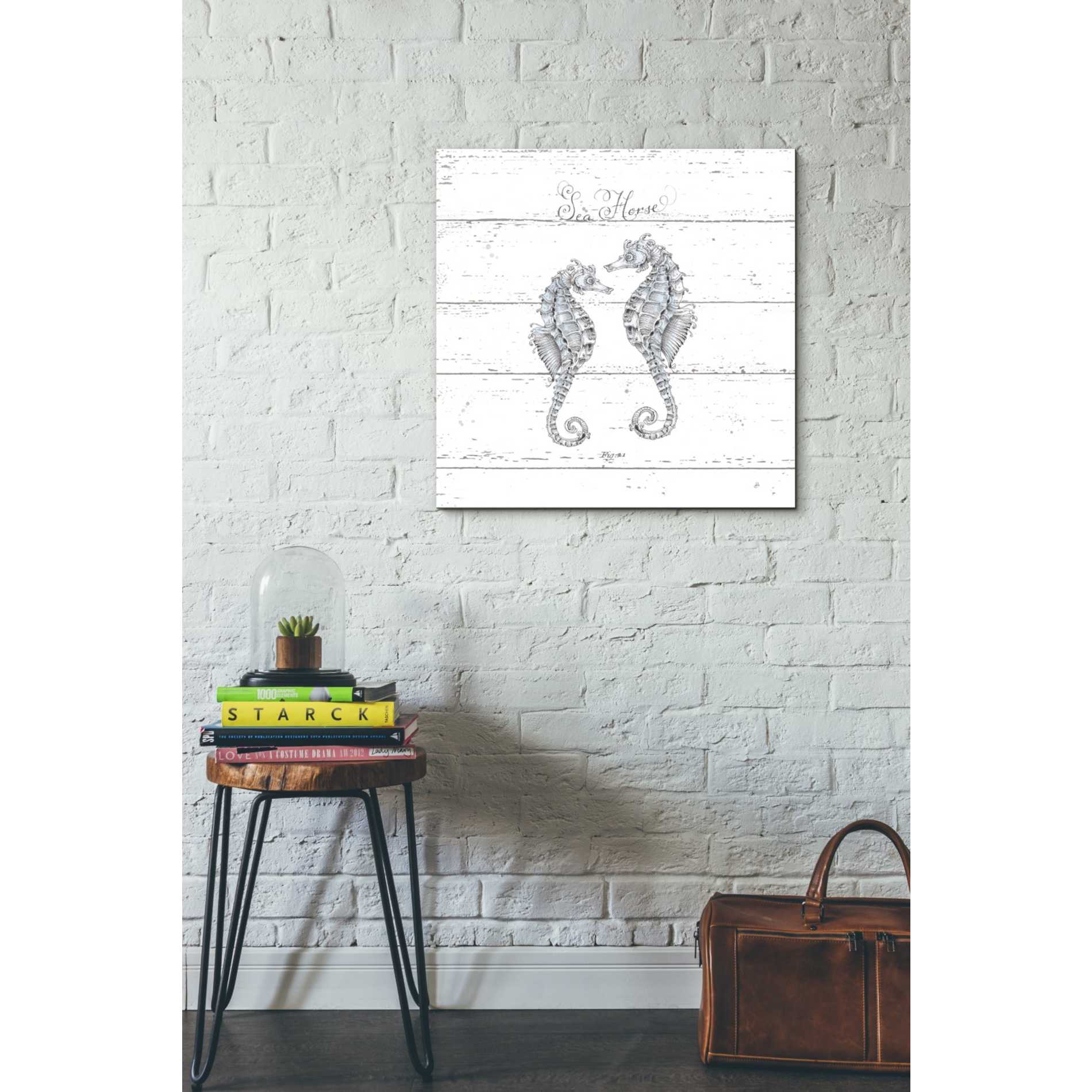 'Aqua Underwater Life V Shiplap' by Daphne Brissonet, Canvas Wall Art,18 x 18