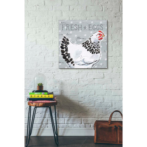 Image of 'Roosters Call II' by Daphne Brissonet, Canvas Wall Art,18 x 18