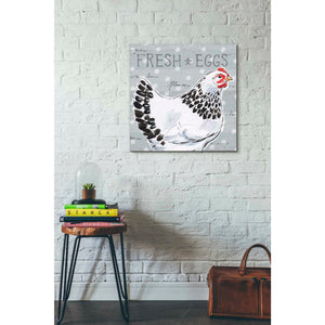 'Roosters Call II' by Daphne Brissonet, Canvas Wall Art,18 x 18
