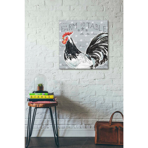 Image of 'Roosters Call III' by Daphne Brissonet, Canvas Wall Art,18 x 18