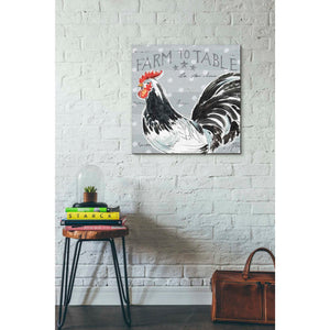 'Roosters Call III' by Daphne Brissonet, Canvas Wall Art,18 x 18