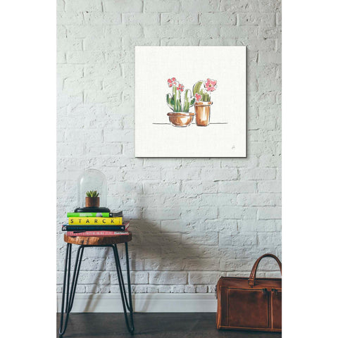 Image of 'Desert Bloom VI' by Daphne Brissonet, Canvas Wall Art,18 x 18
