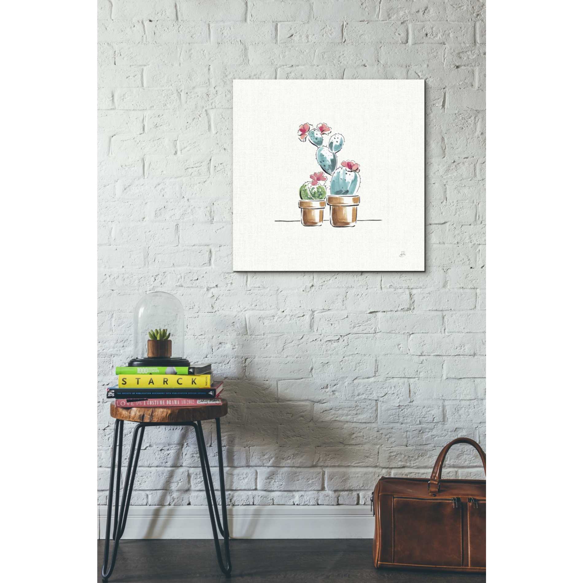 'Desert Bloom V' by Daphne Brissonet, Canvas Wall Art,18 x 18