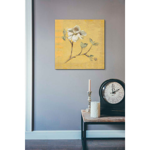 Image of 'Dogwood Blossom on Gold' by Cheri Blum, Canvas Wall Art,18 x 18