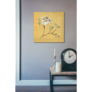'Dogwood Blossom on Gold' by Cheri Blum, Canvas Wall Art,18 x 18