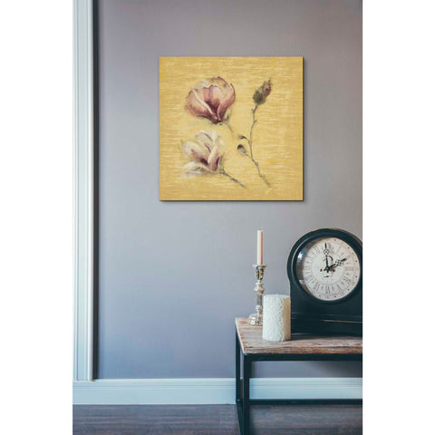 Image of 'Magnolia Blossom on Gold' by Cheri Blum, Canvas Wall Art,18 x 18