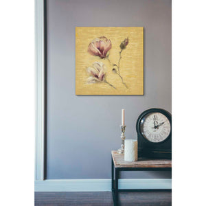 'Magnolia Blossom on Gold' by Cheri Blum, Canvas Wall Art,18 x 18
