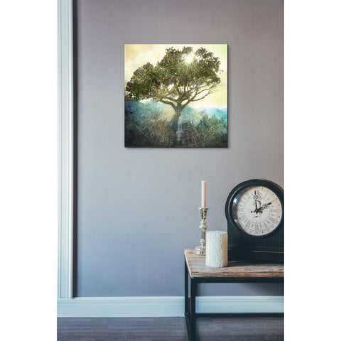 Image of 'Tree And Sun' by Elena Ray Canvas Wall Art,18 x 18