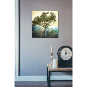 'Tree And Sun' by Elena Ray Canvas Wall Art,18 x 18