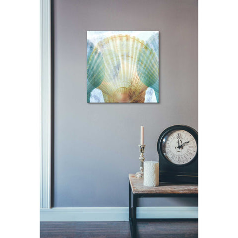 Image of 'Luminous Seashells 2' by Elena Ray Canvas Wall Art,18 x 18