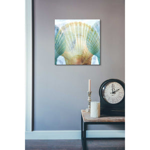 'Luminous Seashells 2' by Elena Ray Canvas Wall Art,18 x 18