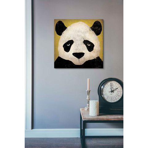 Image of 'Panda' by Ryan Fowler, Canvas Wall Art,18 x 18
