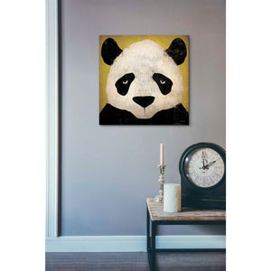 'Panda' by Ryan Fowler, Canvas Wall Art,18 x 18