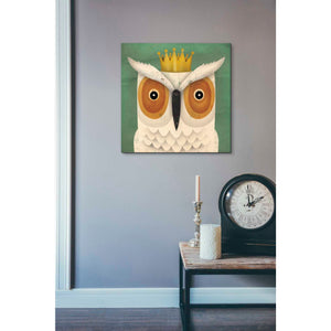 'White Owl with Crown' by Ryan Fowler, Canvas Wall Art,18 x 18