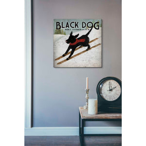 'Black Dog Ski' by Ryan Fowler, Canvas Wall Art,18 x 18