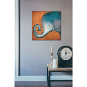 'Elephant Wow' by Ryan Fowler, Canvas Wall Art,18 x 18