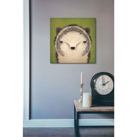 Image of 'Baby Hedgehog' by Ryan Fowler, Canvas Wall Art,18 x 18