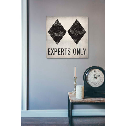 Image of 'Experts Only White' by Ryan Fowler, Canvas Wall Art,18 x 18