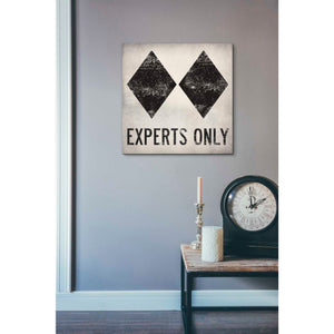 'Experts Only White' by Ryan Fowler, Canvas Wall Art,18 x 18