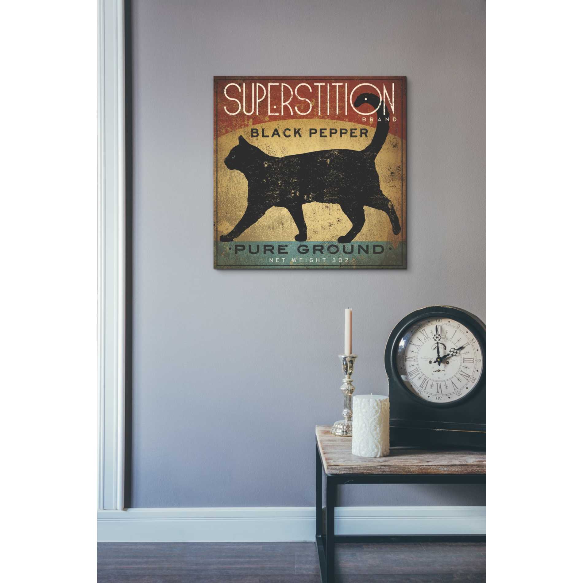 'Superstition Black Pepper Cat' by Ryan Fowler, Canvas Wall Art,18 x 18