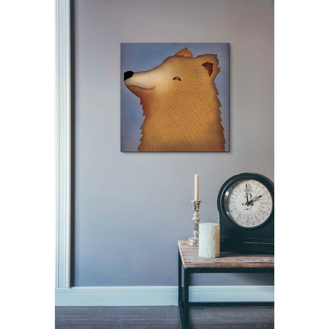 Image of 'Brown Bear Wow' by Ryan Fowler, Canvas Wall Art,18 x 18