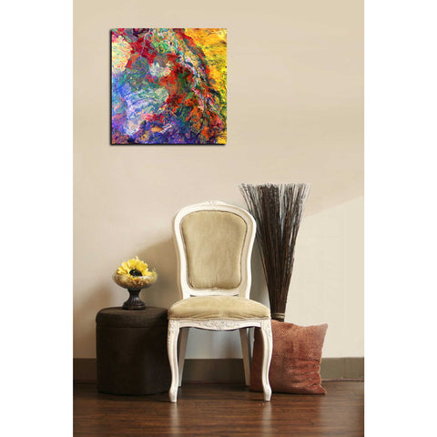 Image of 'Earth As Art: Melted Colors' Canvas Wall Art,18 x 18