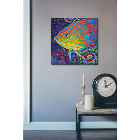 Image of 'Brilliant Tropical Fish I' by Carolee Vitaletti Giclee Canvas Wall Art