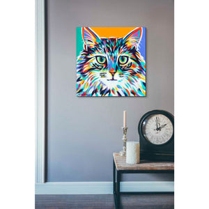'Dramatic Cats I' by Carolee Vitaletti Giclee Canvas Wall Art