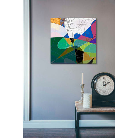 Image of 'Entangled I' by James Burghardt Giclee Canvas Wall Art