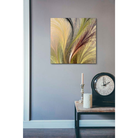 Image of 'Fountain Grass I' by James Burghardt Giclee Canvas Wall Art