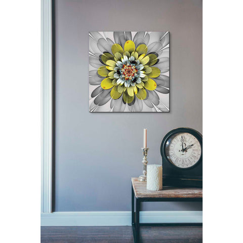 Image of 'Fractal Blooms IV' by James Burghardt Giclee Canvas Wall Art