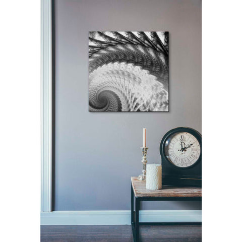 Image of 'Helix I' by James Burghardt Giclee Canvas Wall Art